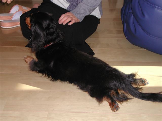 このポーズがかわいいんだな。みんな大好きだったよ。