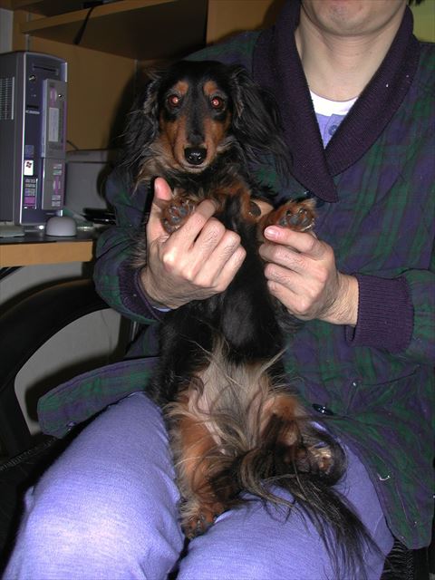 papaにだっこされて。無防備だね。安心しきってるね。