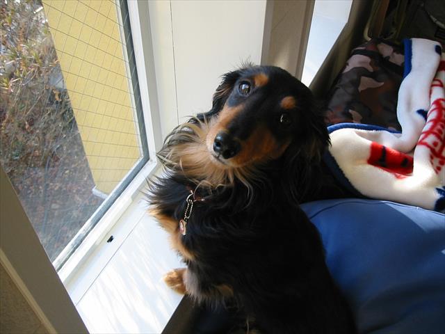 私に訴えかける真剣な目。しゃべってる。何かしゃべってる・・。