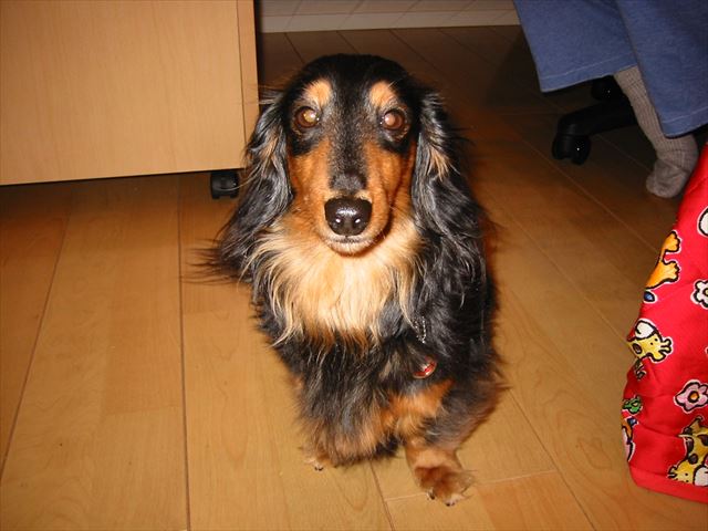 何？退屈してる？どこか行く？何して遊ぶ？