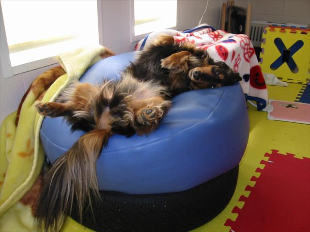 ねぇルパン。この写真、ネットで公開してよかった？