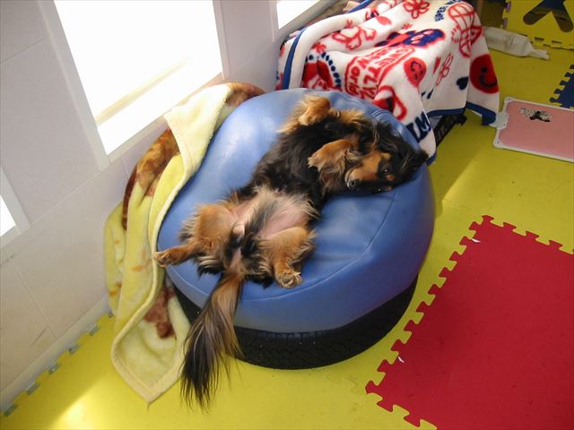 お昼寝から目覚めて・・