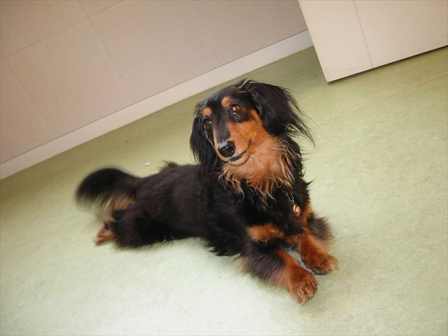 お腹冷やしてるの？ひんやりしてて気持ちいいね。