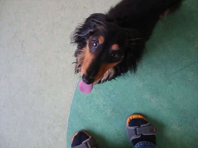 お外行く？行く！！