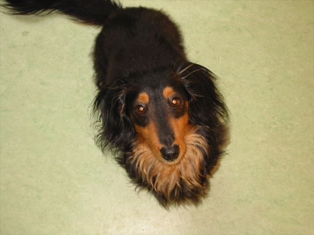 うんうん・・何してあそぼっか？