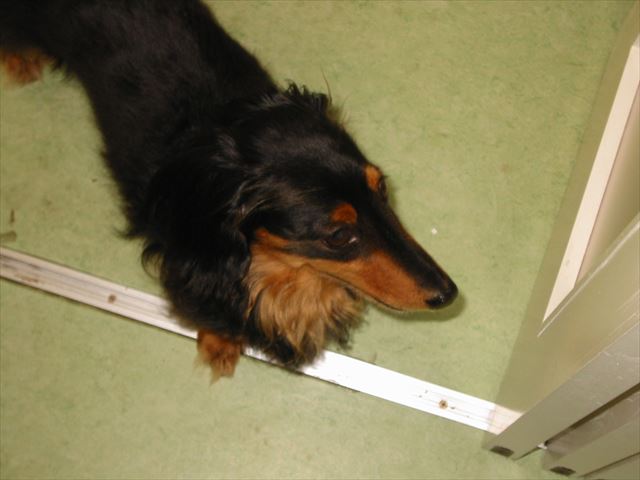 ルパンと私の大事な部屋で。