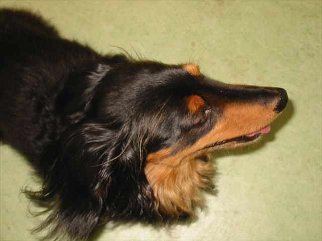 いつも一緒だったね。昼も夜も。