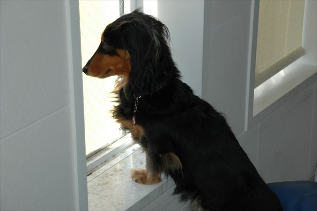 お外見るの好きだったね。