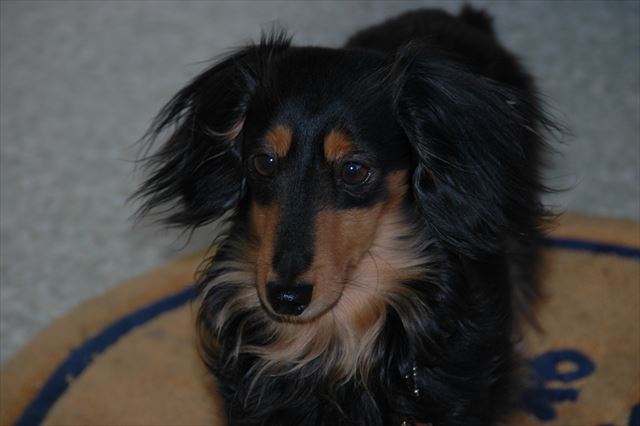 いっぱい遊んでくれてありがとね。