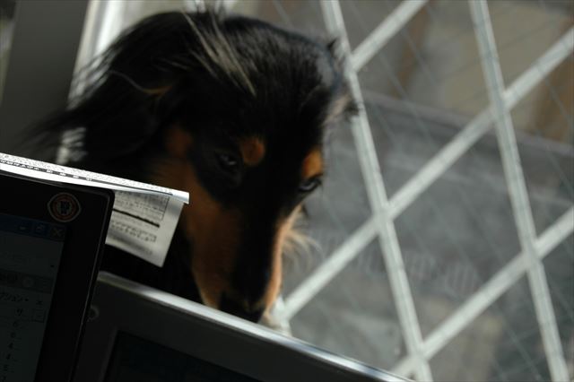 いつも一緒だったよね。