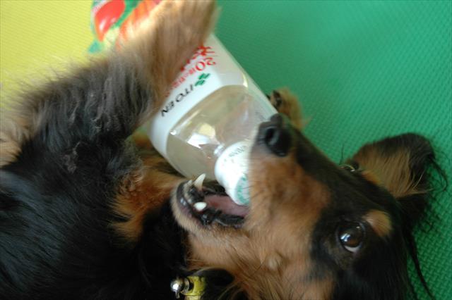 ペットボトルのキャップ、開けるの得意だったよね。