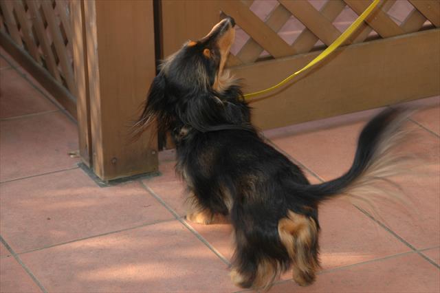 ここ開けて！早く開けて！