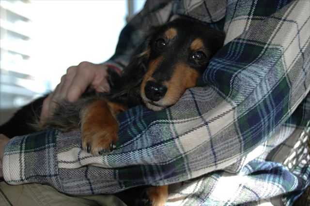 眠そうな顔してる・・