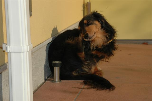 お耳かいかい・・！