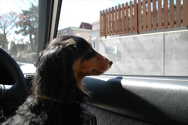 駐車場で。家族を待つルパン。「早く戻ってこないかなぁ」。