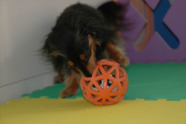 これは難しいぞ。諦めないルパンに、私はいつも勇気をもらってたよ。