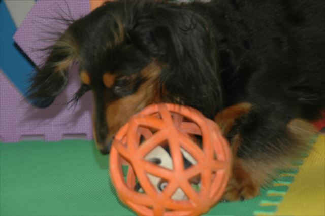 中を取り出したいの？これは難しいなぁ。