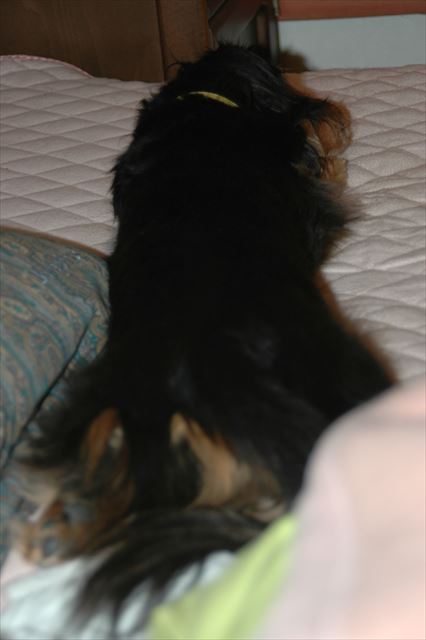 ご機嫌な夜のひととき・・