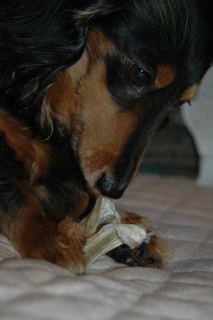 いつでもルパンは一生懸命。何をするのも一生懸命。