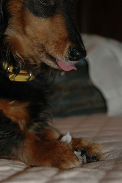 前歯にガム詰まっちゃったんでしょ？