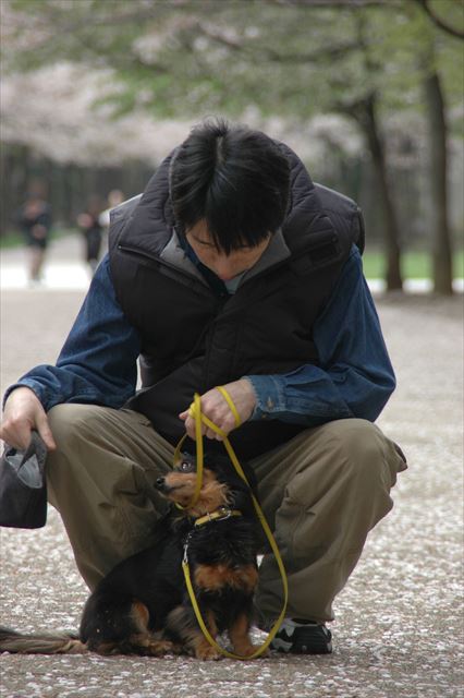 桜のアーチの下を散歩。幸せだった。ずっと続いて欲しかった。