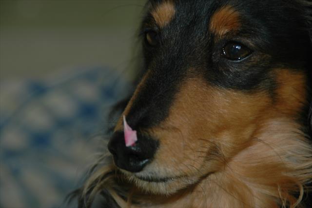 お庭行って来たの？　すましててもわかっちゃうよ（笑）！