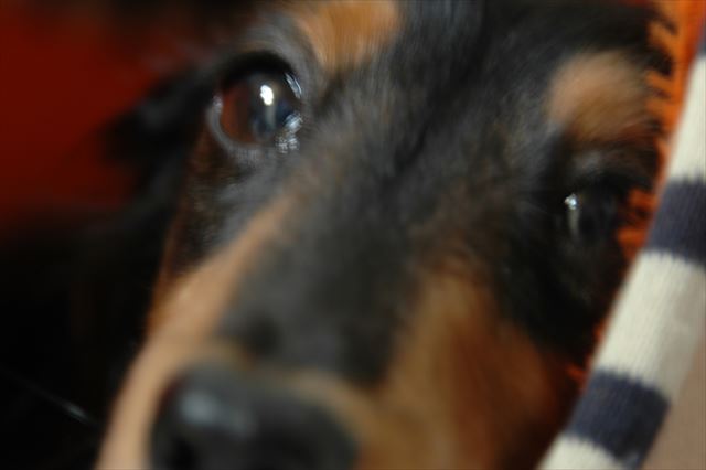 おめめ覚めたかな。