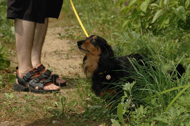だっこでしょ。その顔はだっこだよね。