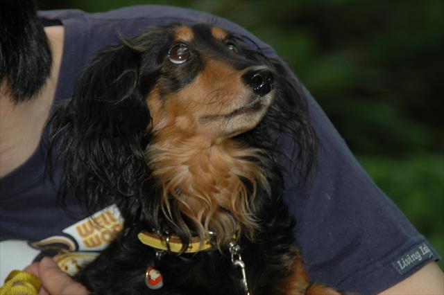 何見てるのかな。何を思ってるのかな。ルパンのことが知りたかった。もっともっと知りたかった。