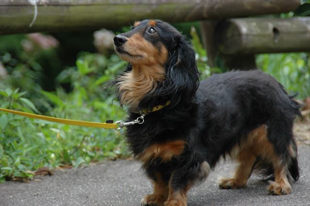 その顔は・・だっこでしょ？papaにだっこおねだりしてるでしょ？