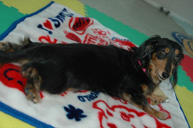 ごっきげんだね！