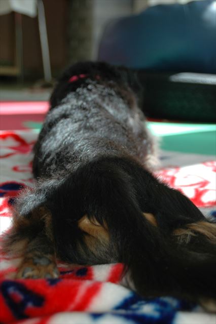 そしてこのポーズ。リラックスポーズ♪