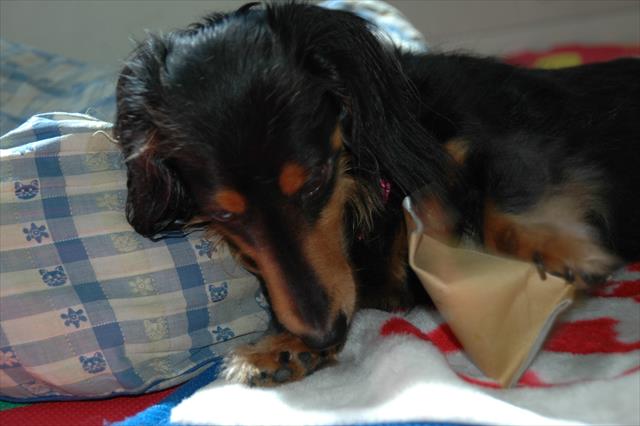 一生懸命だね。えらいね。上手だね！！