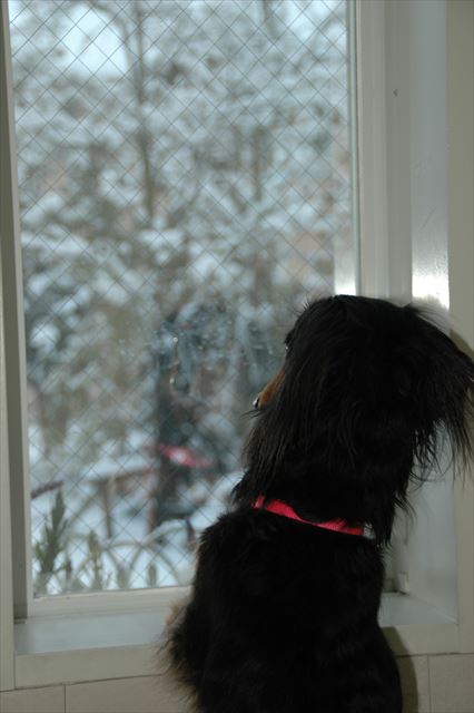 うわぁ真っ白・・！