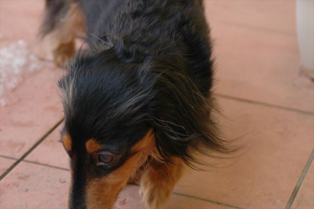 かわいいあんよ♪