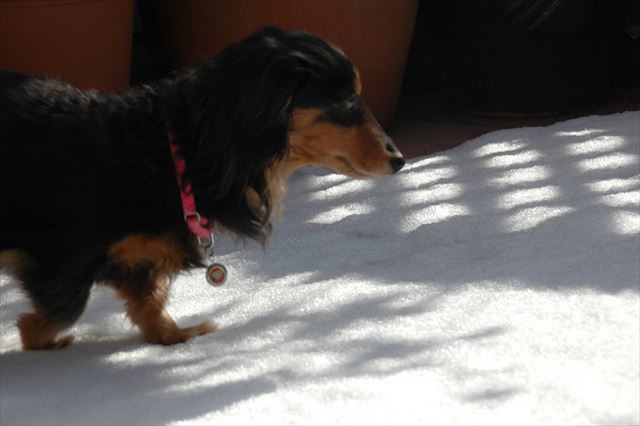 足、冷たいかな？