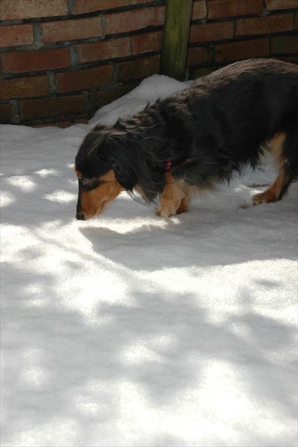 ルパンは、寒がりがったよなぁ・・