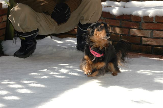 ルパン、大好きだよ。