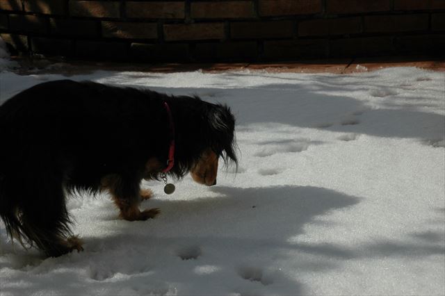 いつもと匂いが違うね・・