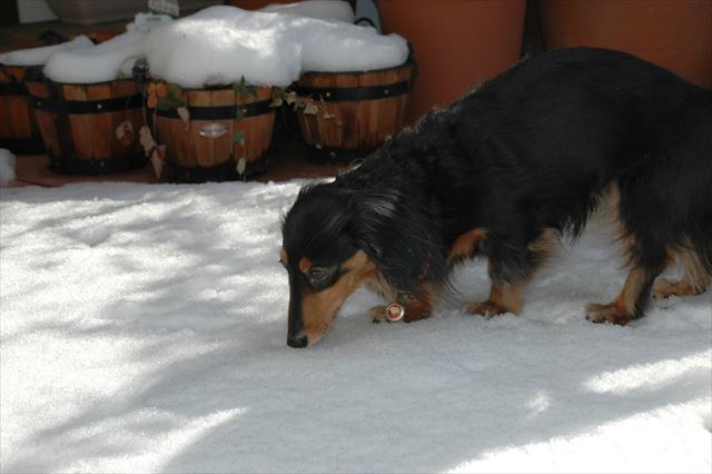 いつもと違う匂い、するでしょ？