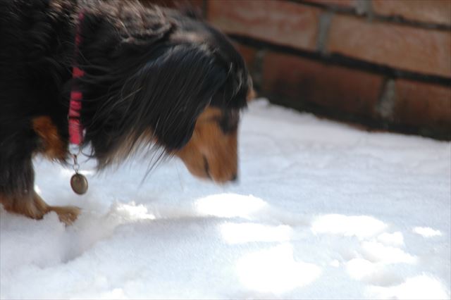 どんな匂いがするかな・・？