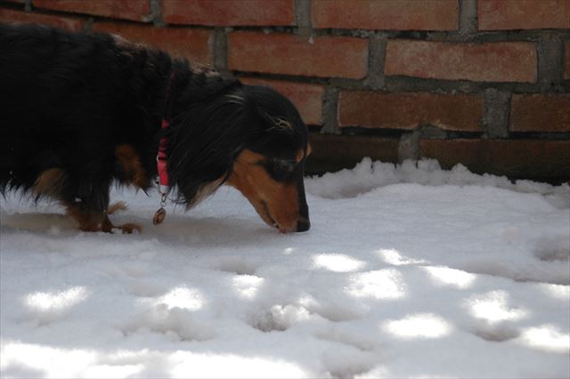 いつもと違う匂い・・でしょ？