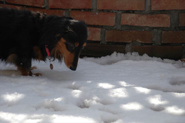 １時間おきに目が覚め、そのたびに違うルパンの夢を見たよ。会えてよかった・・
