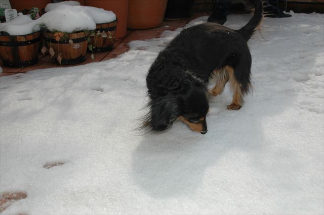 いつもと違う匂い、するかな？