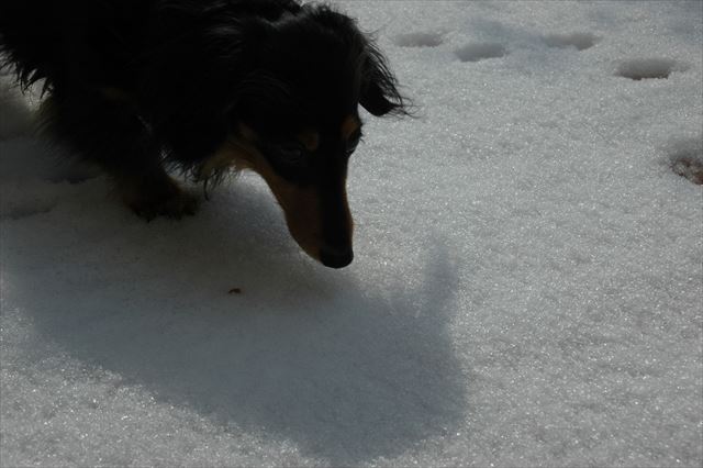 影もルパンの形してる！