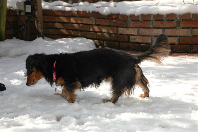 興味津々だね・・