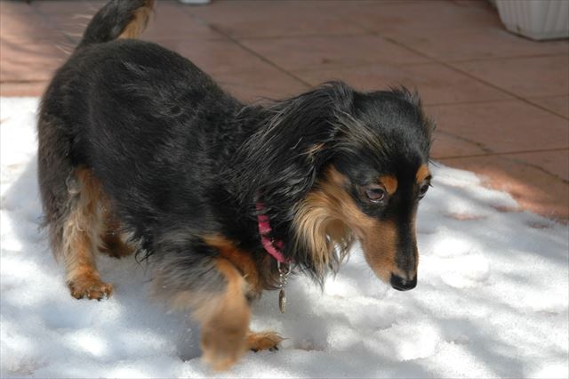 足元冷たいかな。