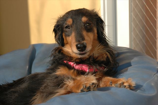 ピンクのカラーが似合う。顔もどこかあどけなくて。女の子？ってよく聞かれたよね。