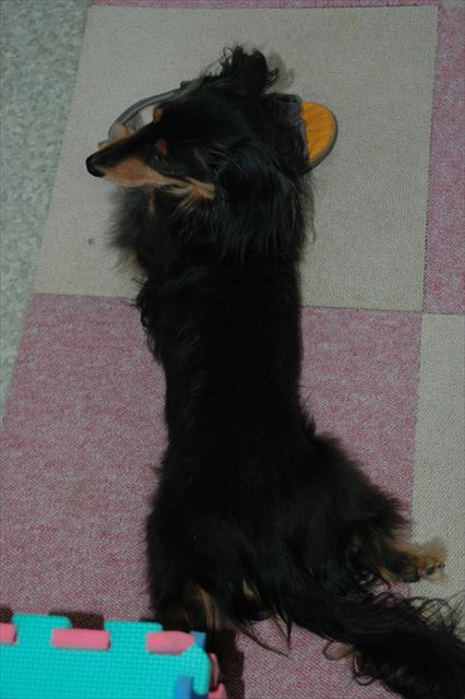 私のサンダル。しっかりキープ♪