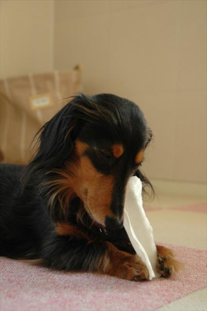 恍惚？噛んでるうちになんだかウットリしちゃうんだよね。